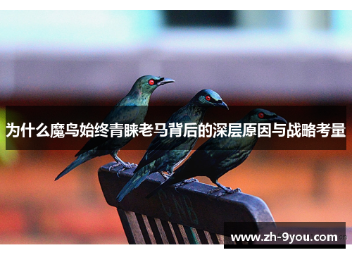 为什么魔鸟始终青睐老马背后的深层原因与战略考量